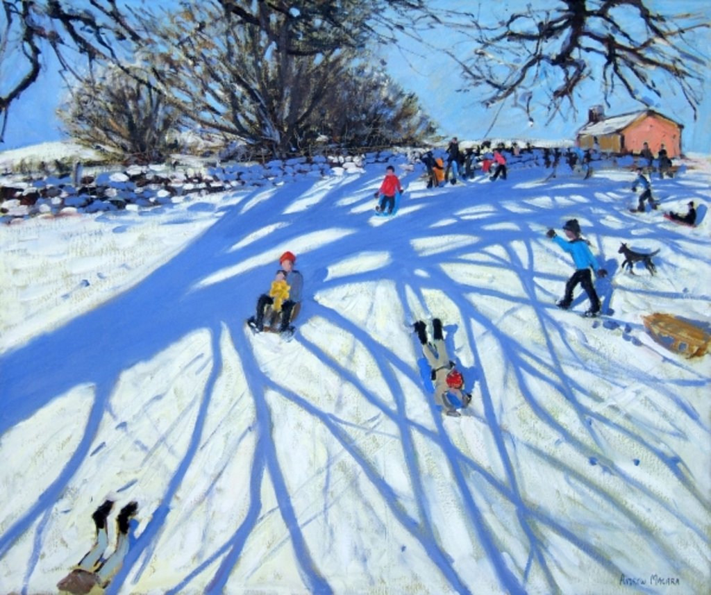 Detail of The shadow, Derbyshire by Andrew Macara