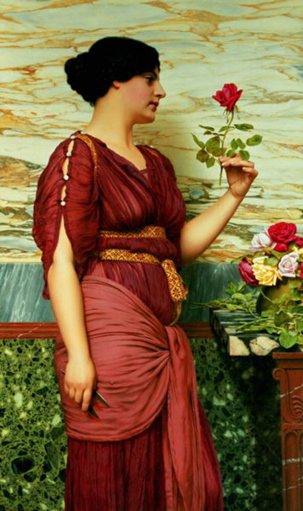 Detail of A Red, Red Rose, 1920 by John William Godward