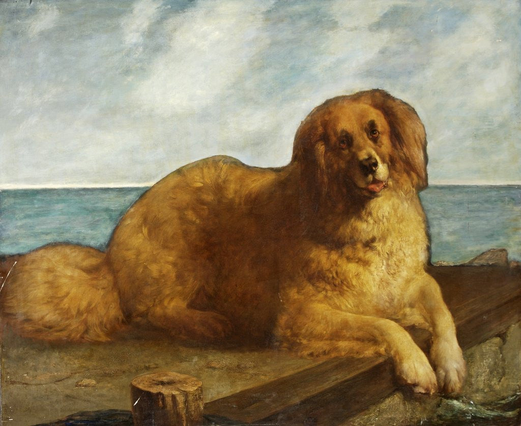 Detail of Dog by Anonymous