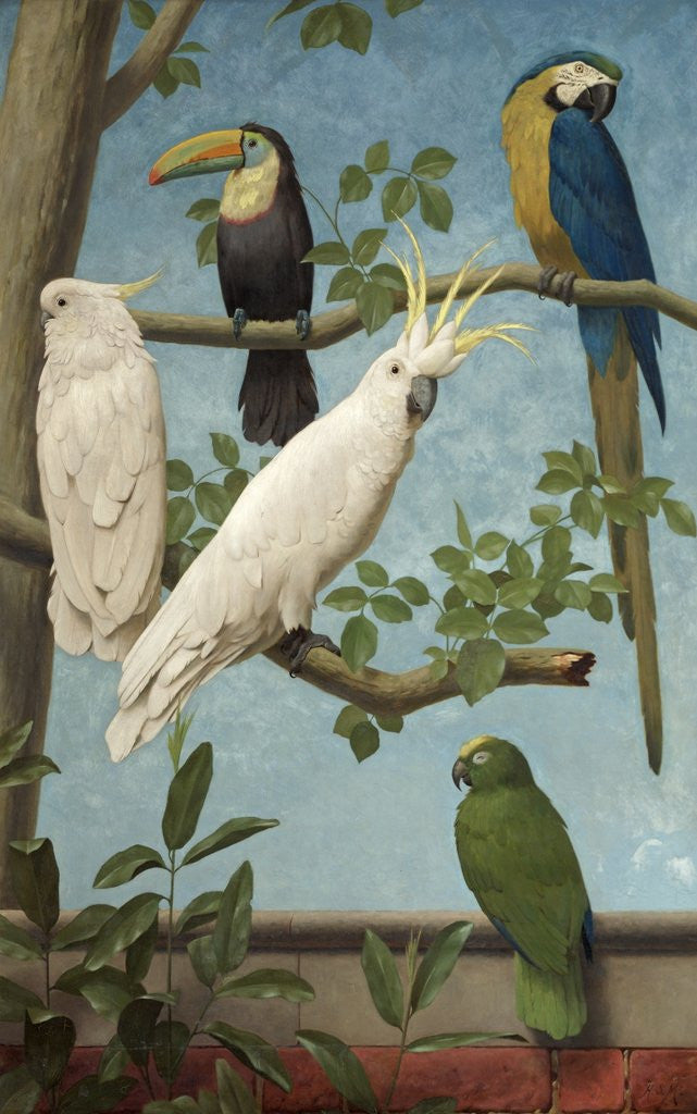 Detail of Cockatoos, Toucan, Macaw and Parrots by Henry Stacey Marks