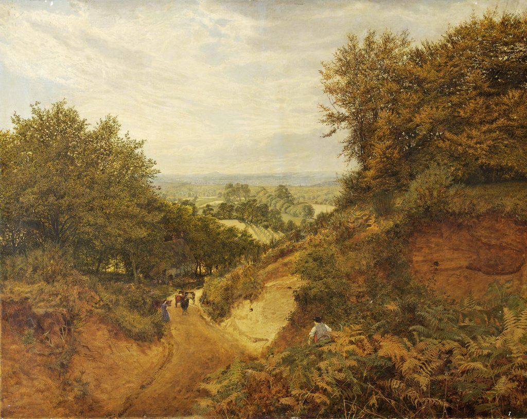 Detail of View from Leith Hill by Frank Walton