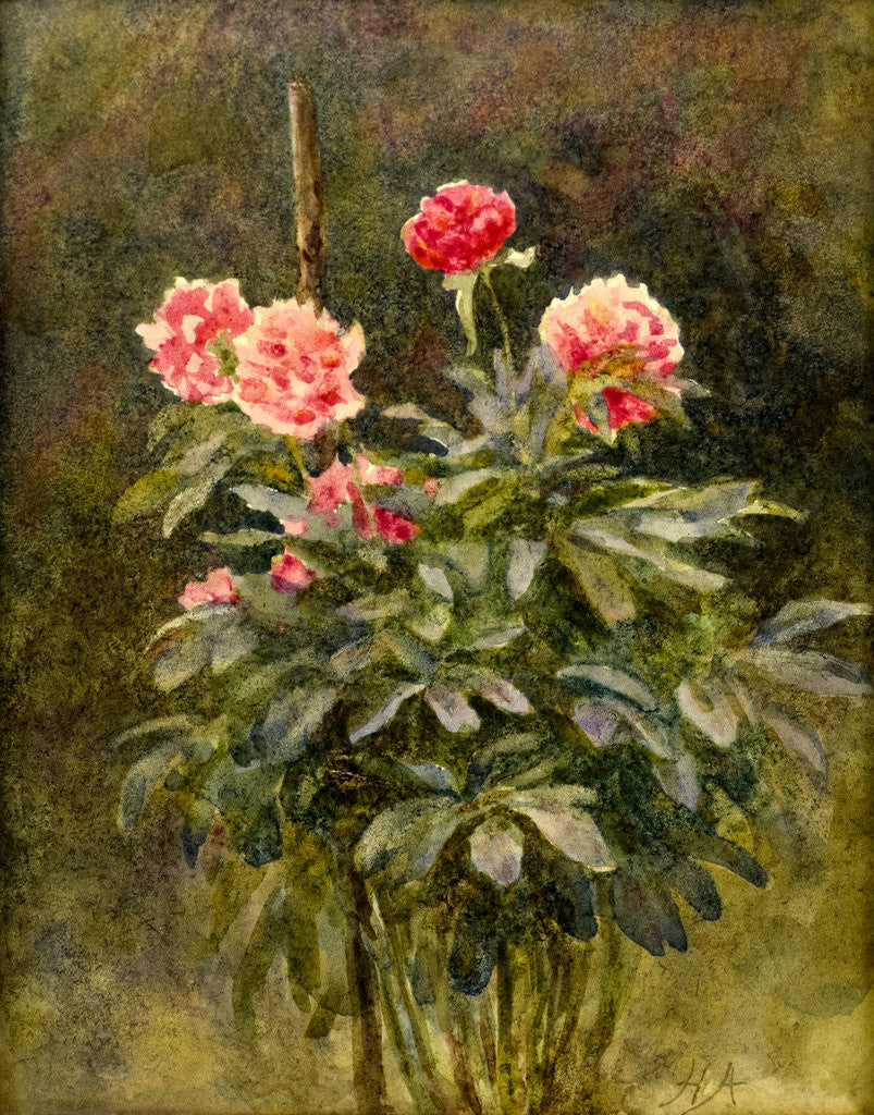 Detail of Flower Study by Helen Allingham
