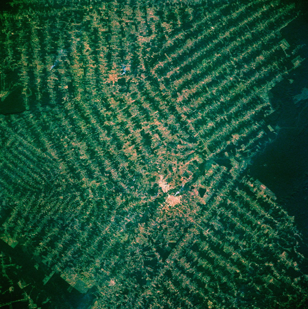 Detail of Brazilian Agricultural Fields from Space by Corbis