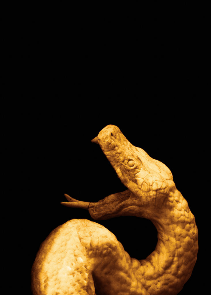 Detail of Yellow stone snake by Ricardo Demurez