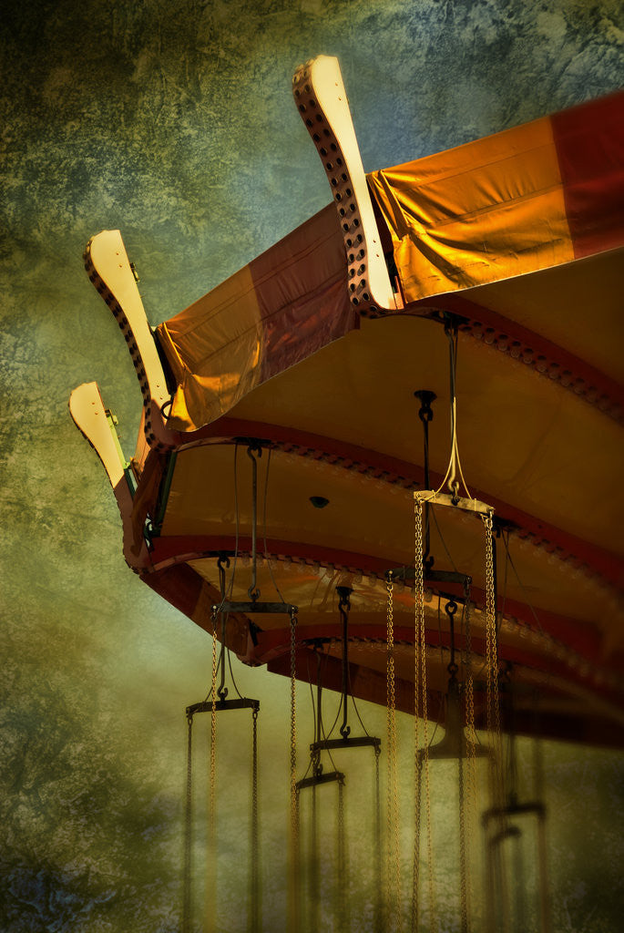 Detail of Carousel by Ricardo Demurez
