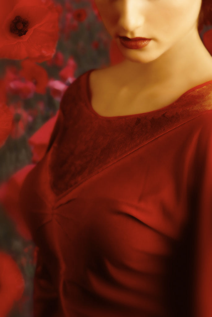 Detail of Woman in red dress by Ricardo Demurez