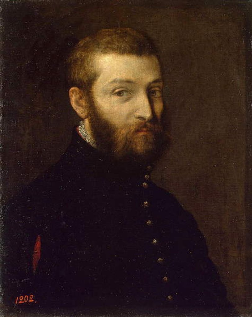 Detail of Self-Portrait by Paolo Veronese by Veronese