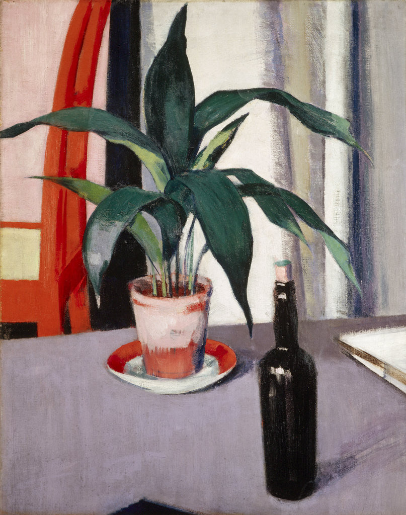 Detail of Aspidistra and Bottle on Table by Francis Campbell Boileau Cadell