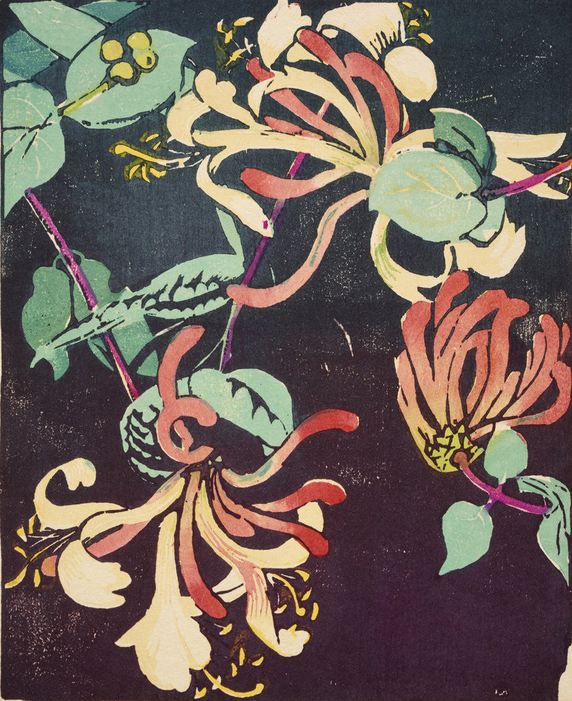 Detail of Honeysuckle by Mabel Royds