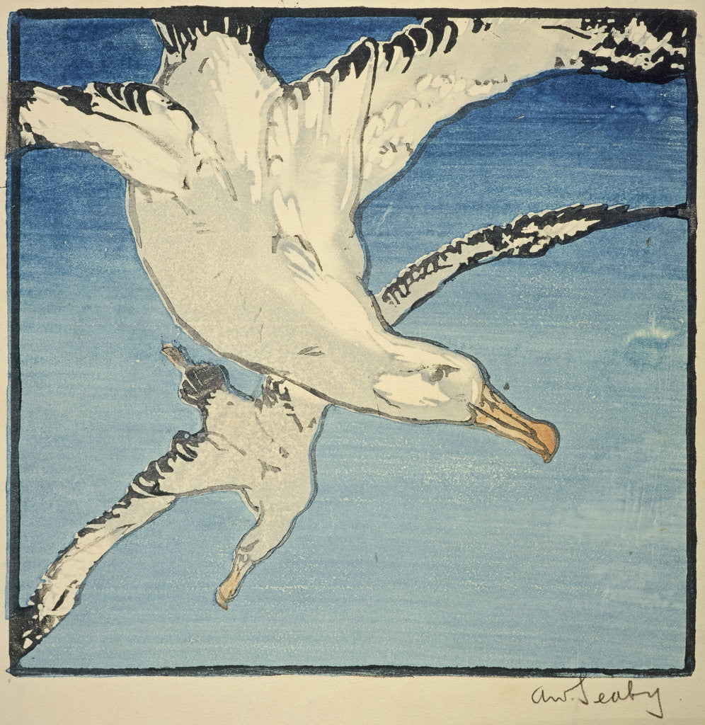 Detail of Albatrosses by Allen William Seaby