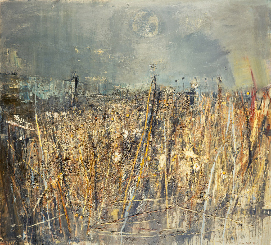 Detail of Seeded Grasses and Daisies, September by Joan Eardley