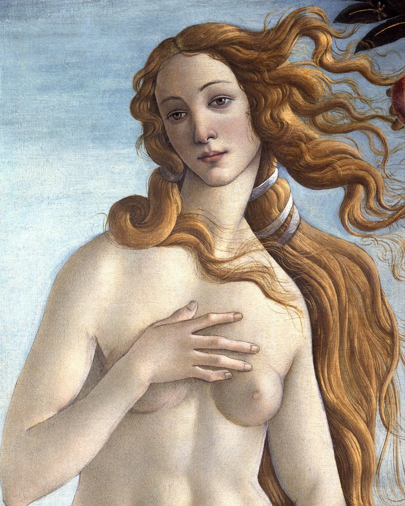 Detail of The Birth of Venus by Sandro Botticelli