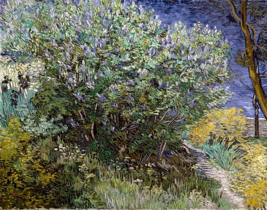 Detail of Le buisson de lilas. Vincent VAN GOGH, 1889 Huile sur toile Musee de l'Ermitage. by Vincent van Gogh