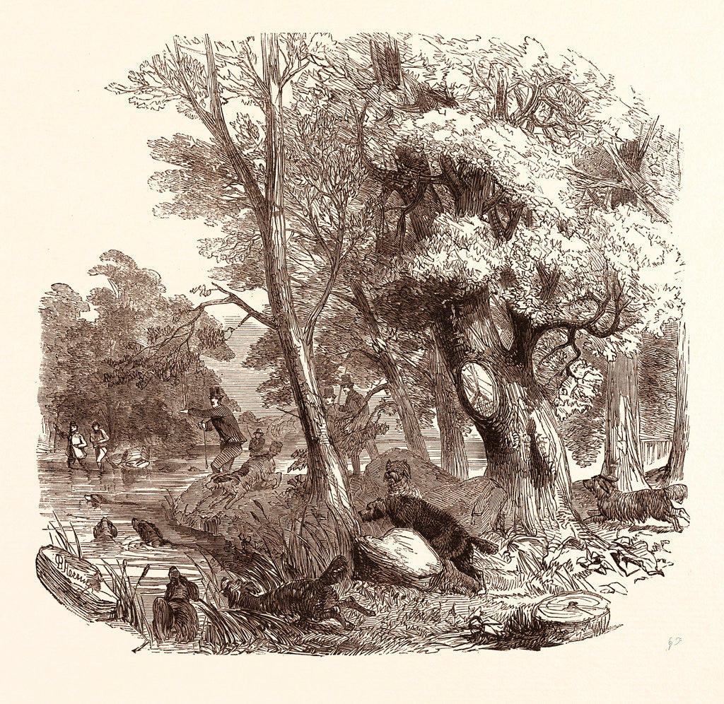 Detail of Otter Hunting, Wildlife, River by Anonymous