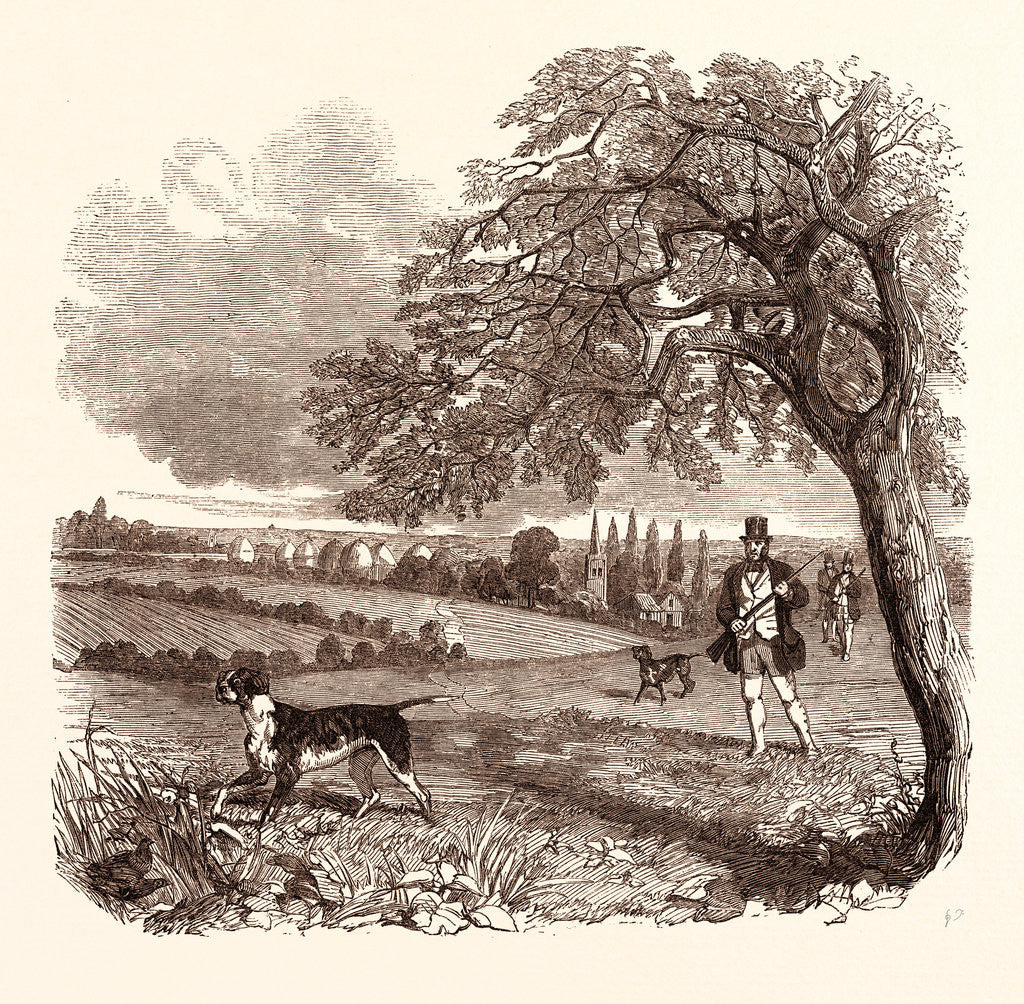 Detail of Partridge Shooting in September by Anonymous