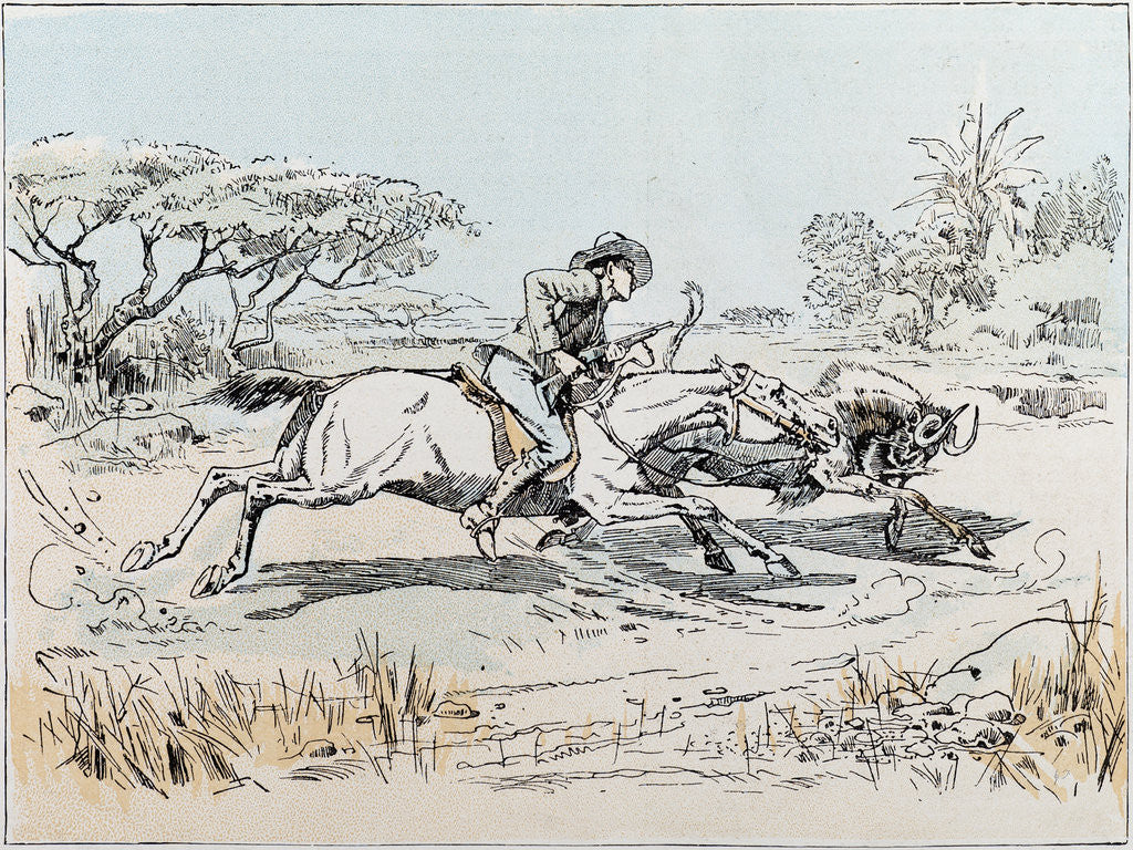 Detail of Hunting in South Africa by Anonymous