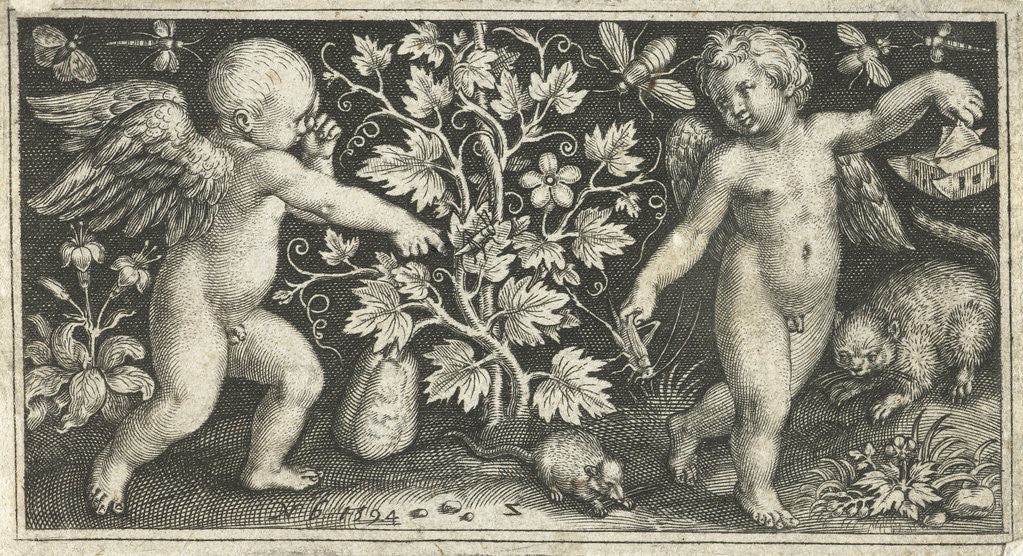 Detail of Two angels on either side of squash, pumpkin, or gourd by Nicolaes de Bruyn
