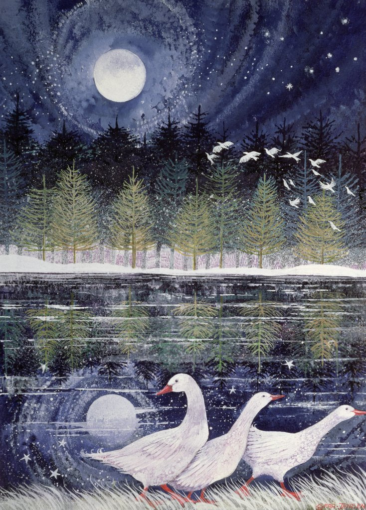 Detail of Snow Geese, 1995 by Lisa Graa Jensen