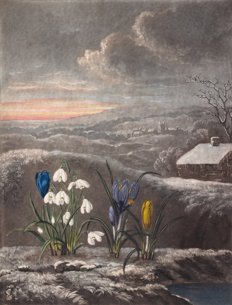 Detail of The Snowdrop by Abraham Pether