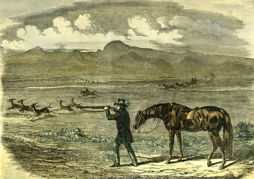 Detail of South Africa Hunting 1850 by Anonymous