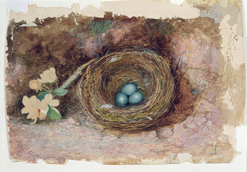 Detail of Birds Nest, 1863 by John Atkinson Grimshaw