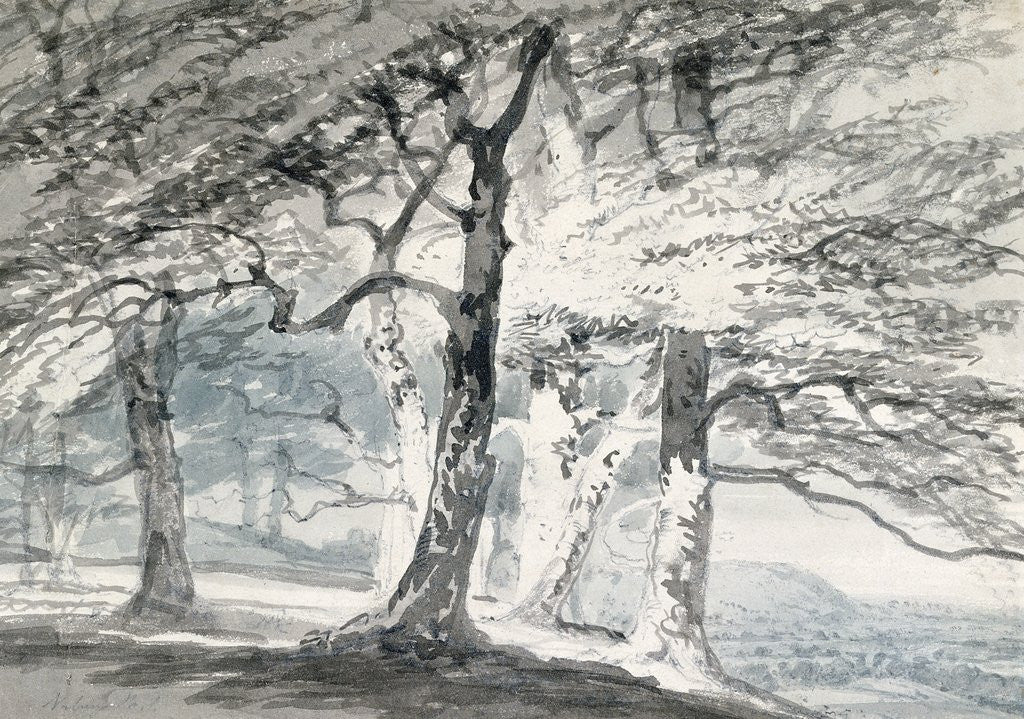 Detail of Norbury Park, Surrey by Joseph Mallord William Turner