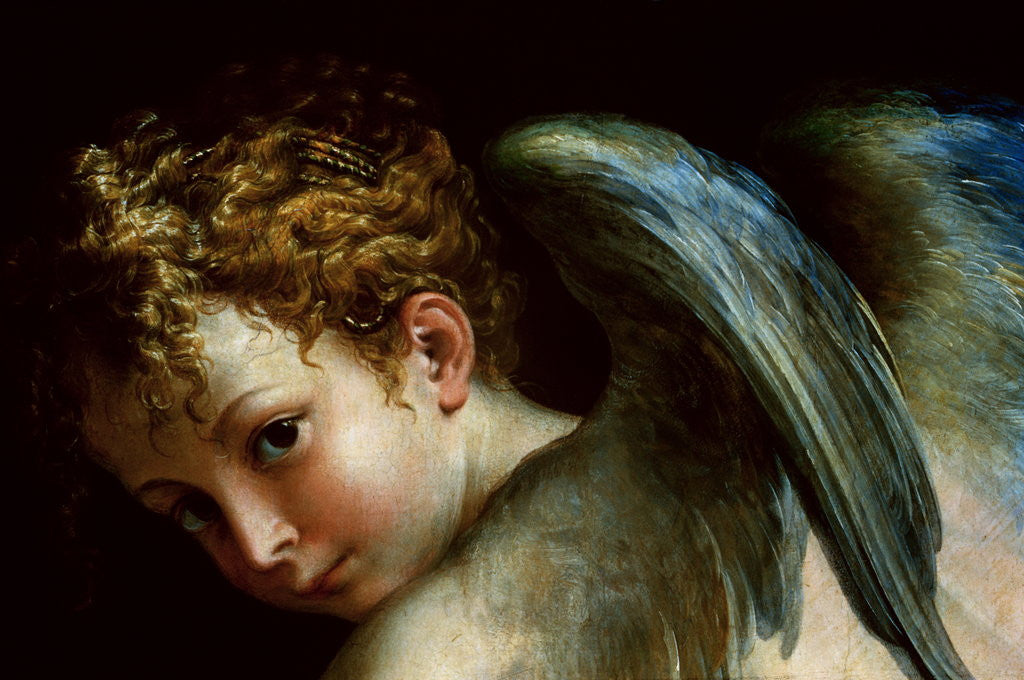 Detail of Detail of Cupid's Head from Cupid Shaping His Bow by Parmigianino