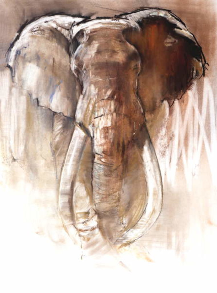 Detail of Bull Elephant, 2018 by Mark Adlington