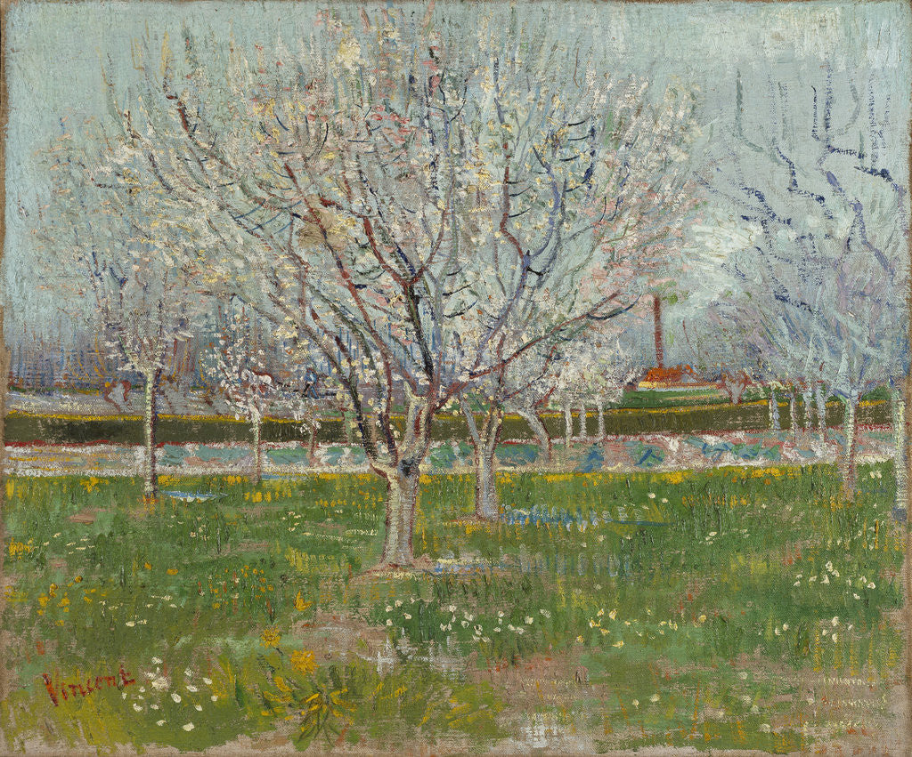 Detail of Orchard in Blossom (Plum Trees) by Vincent Van Gogh