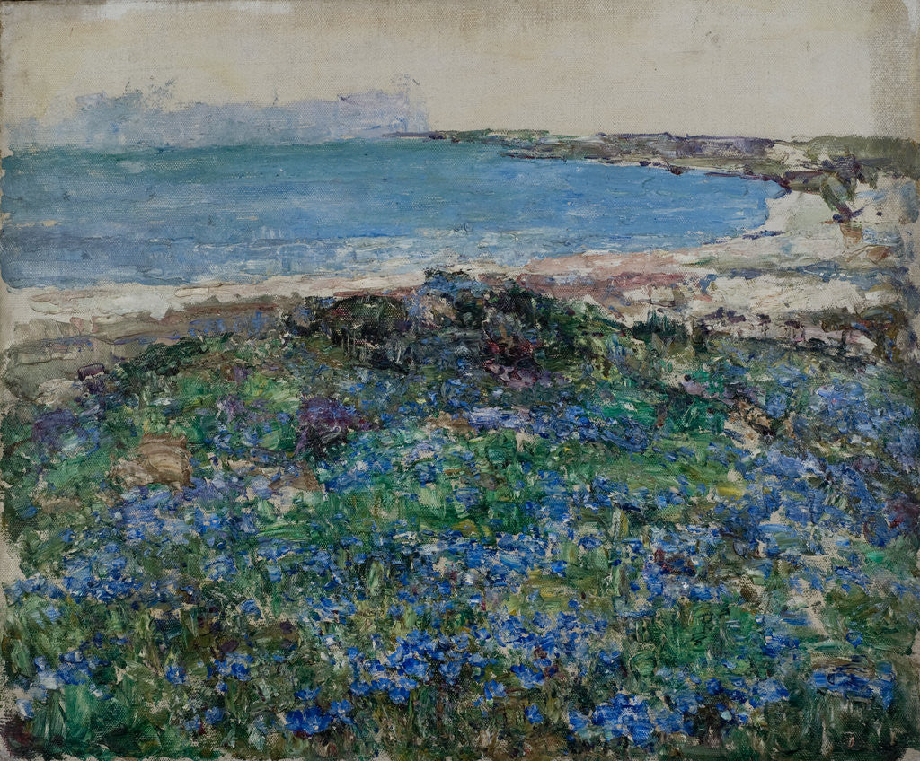 Detail of Blue Flax, Brighouse Bay by Edward Atkinson Hornel