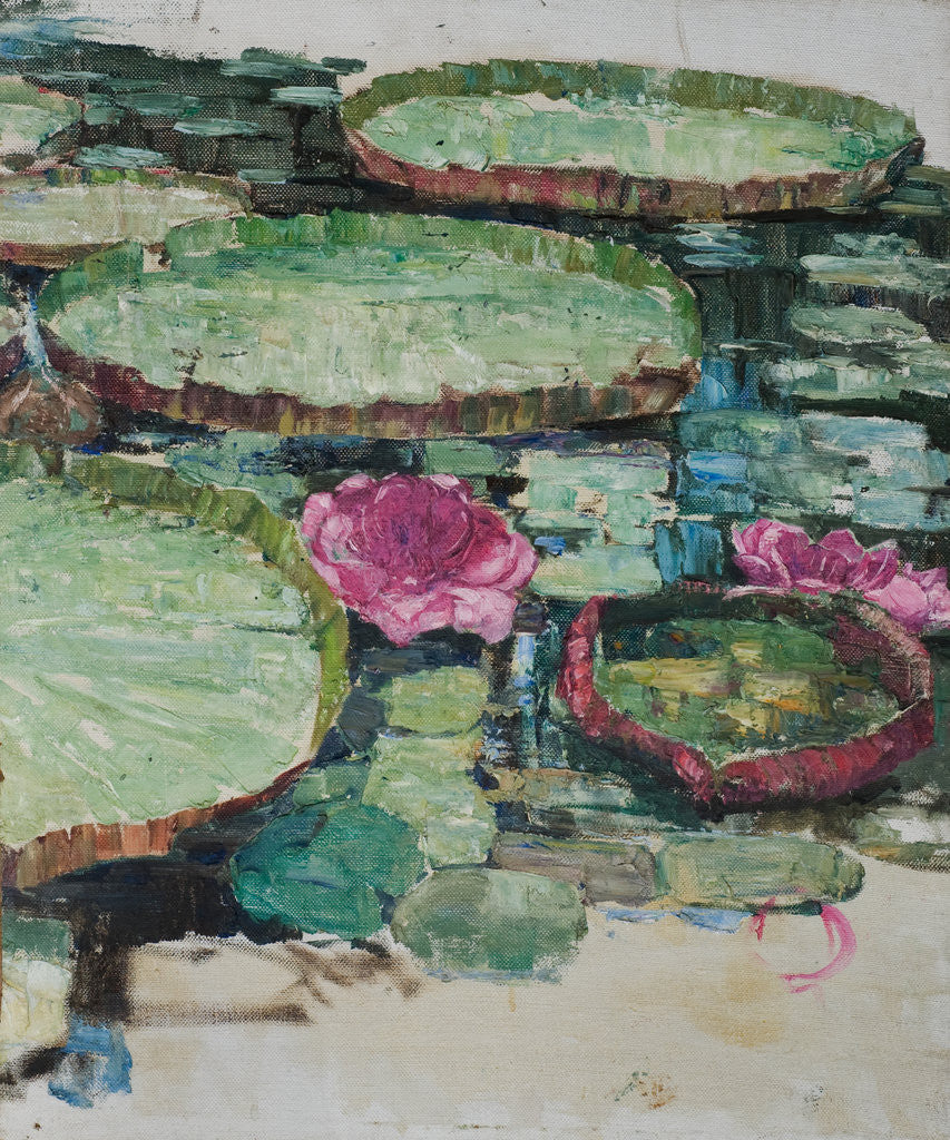 Detail of Water-lilies, c.1899-1912 by Edward Atkinson Hornel