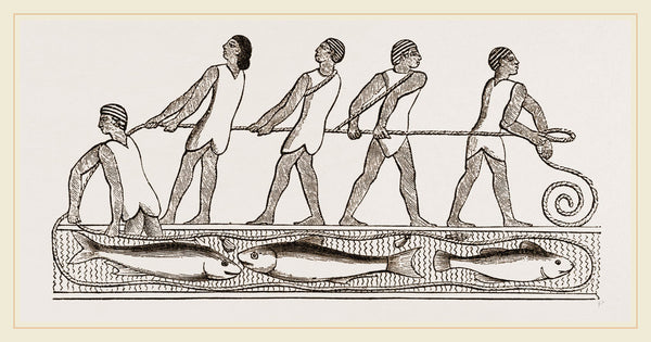 ancient egyptian fishing nets Ancient Egyptians fishing with drag-net, Egypt posters & prints by Anonymous