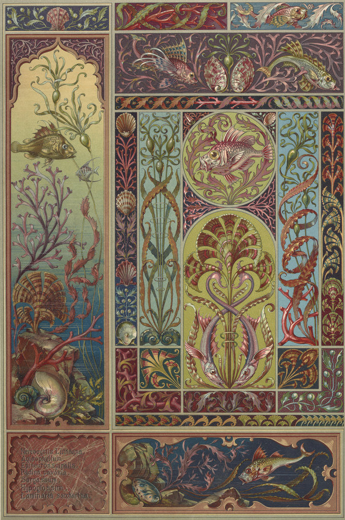 Detail of Plate 28 from 'Die Pflanze in Kunst und Gewerbe' by Anton Seder