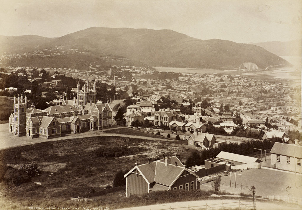 Detail of Dunedin from Roslyn Hill, New Zealand by James Valentine