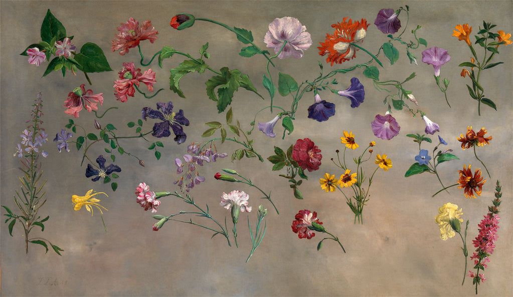 Detail of Studies of Flowers by Jacques-Laurent Agasse