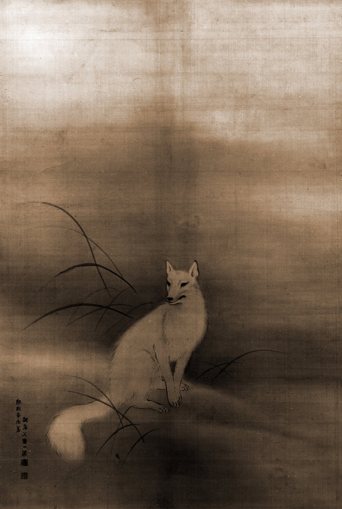 Detail of White fox by Ippo