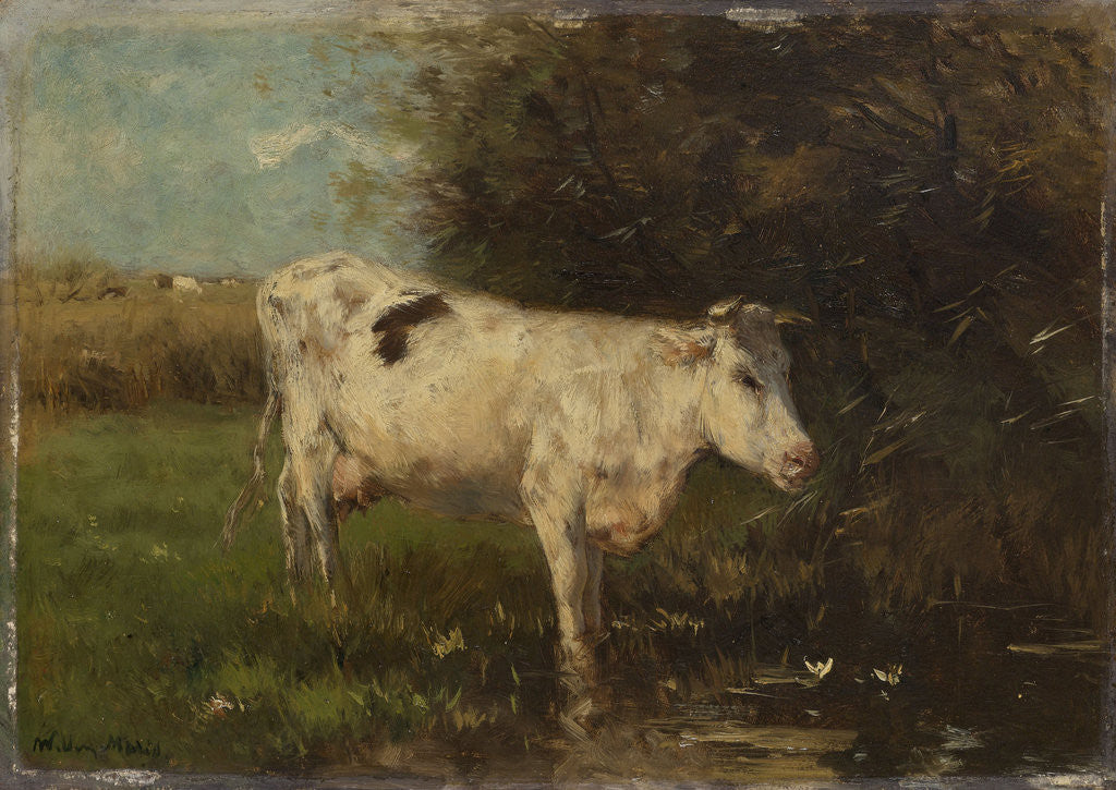 Detail of White Cow by Willem Maris