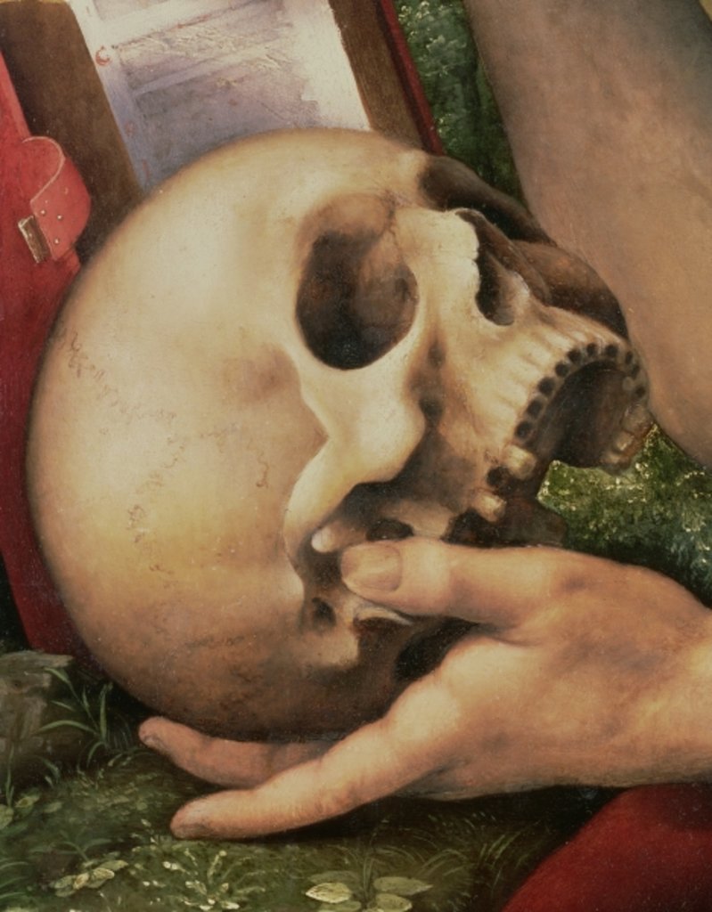Detail of St. Jerome by Cesare da Sesto
