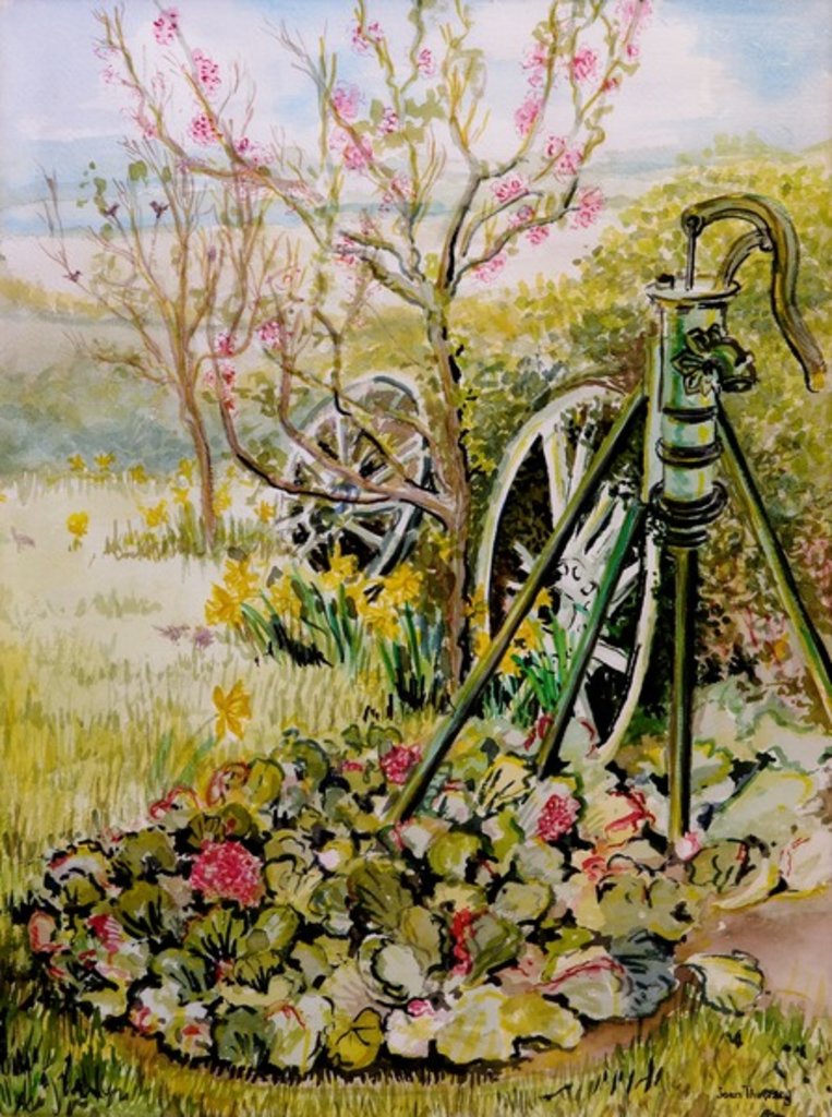 Detail of The Garden Pump,2010,watercolour by Joan Thewsey