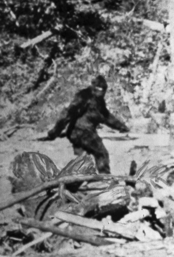 1977 Sasquatch Bigfoot Film Movie Poster Print – 24x16 Inches – Vintage Style Reproduction