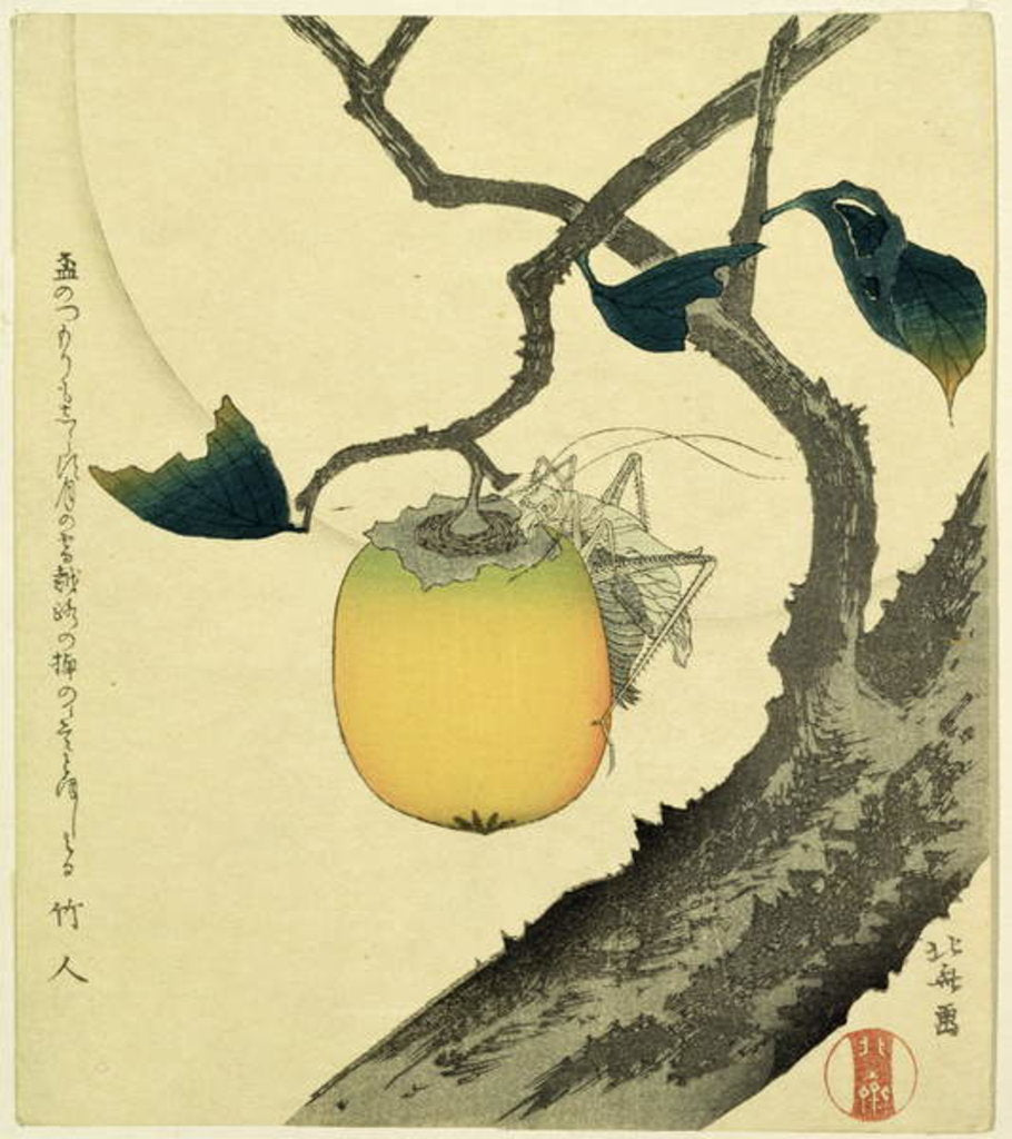 Detail of Moon, Persimmon and Grasshopper, 1807 by Katsushika Hokusai