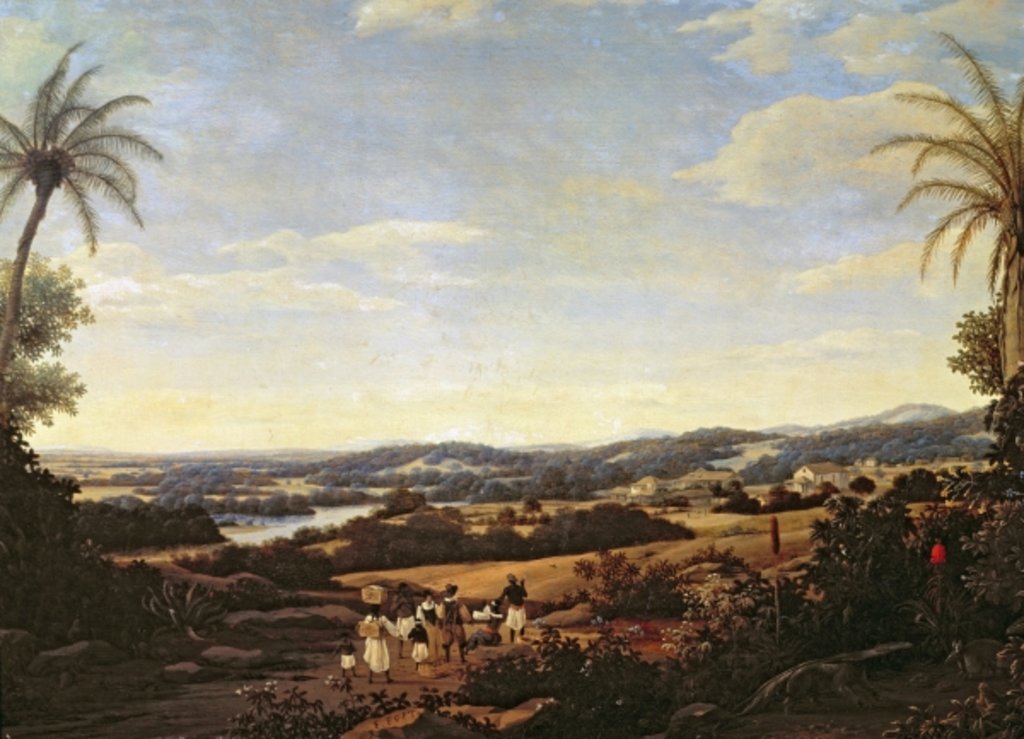 Detail of Brazilian Landscape with a Plantation by Frans Jansz Post