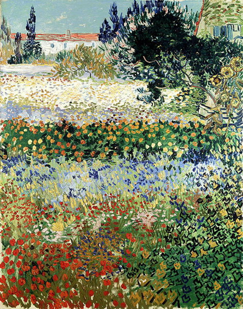 Detail of Garden in Bloom, Arles, July 1888 by Vincent van Gogh