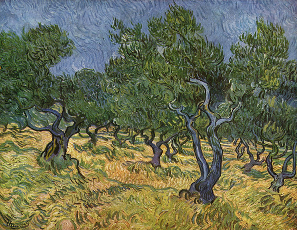 Detail of Olive Grove, 1889 by Vincent van Gogh