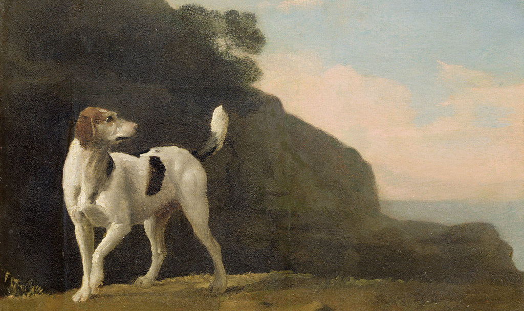 Detail of A Foxhound by George Stubbs