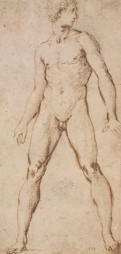 Detail of Study of the nude figure of a man by Raphael