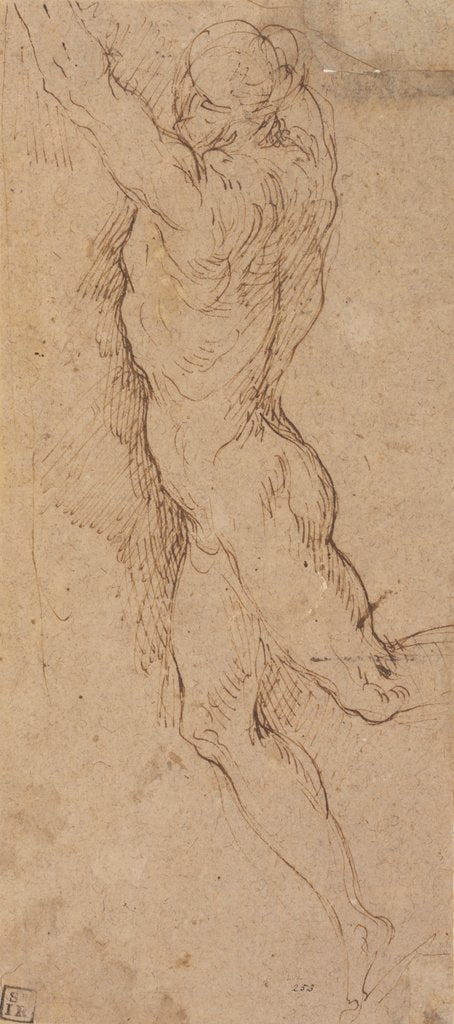 Detail of Nude figure of a man holding by Jacopo Palma