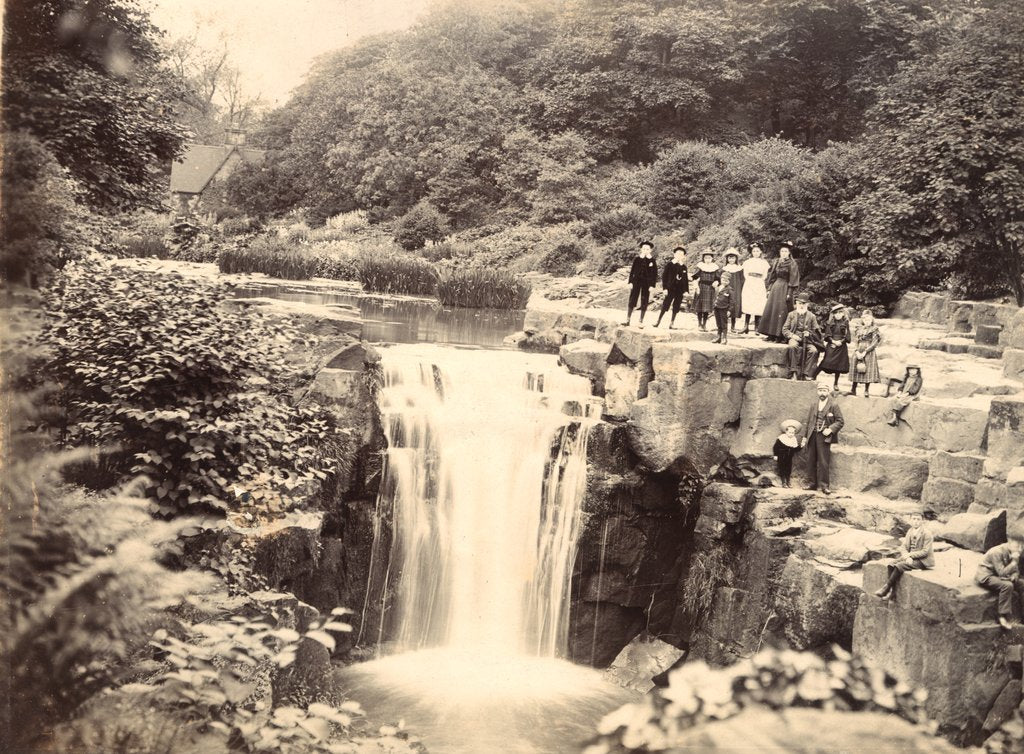 Detail of Jesmond Dene Waterfall by Unknown