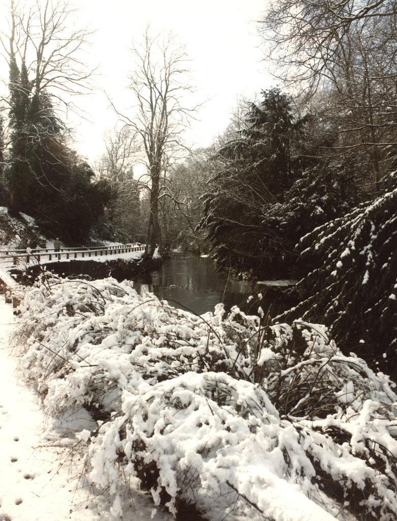 Detail of Jesmond Dene in Snow by Unknown
