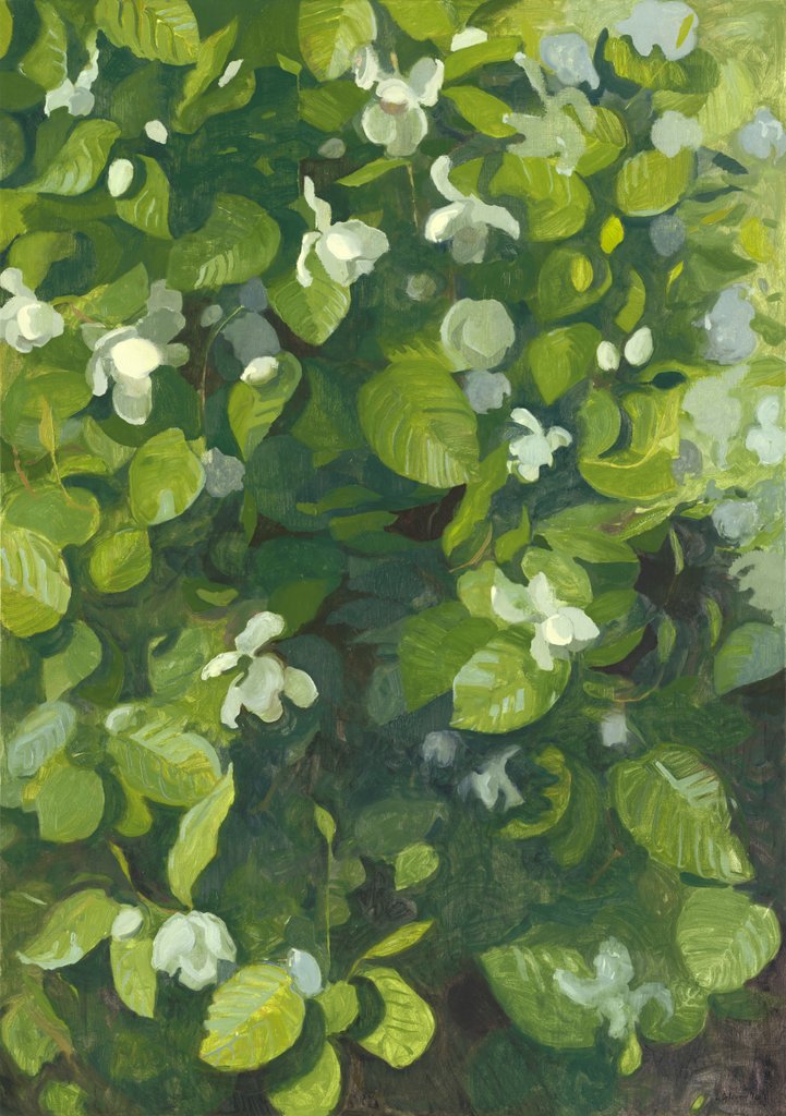 Detail of Magnolia in flower, 2014 by Leigh Glover